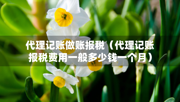 代理記賬做賬報(bào)稅（代理記賬報(bào)稅費(fèi)用一般多少錢一個(gè)月）