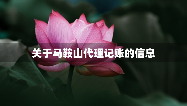 關(guān)于馬鞍山代理記賬的信息