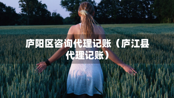 廬陽(yáng)區(qū)咨詢代理記賬（廬江縣代理記賬）