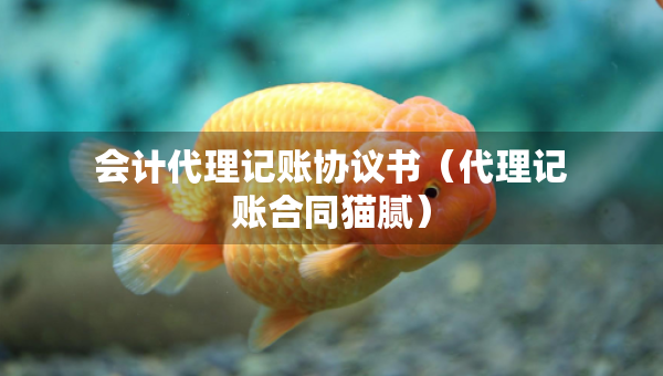 會(huì)計(jì)代理記賬協(xié)議書（代理記賬合同貓膩）