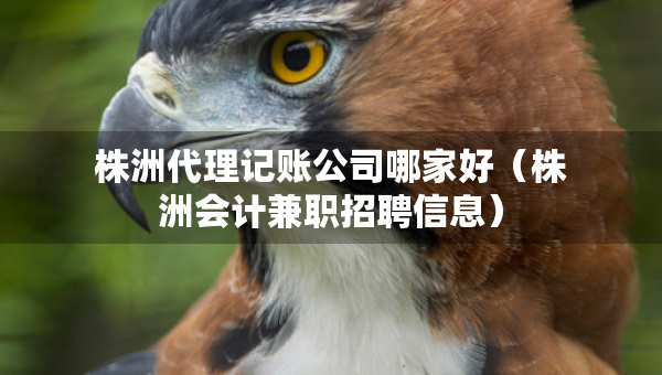株洲代理記賬公司哪家好（株洲會計兼職招聘信息）