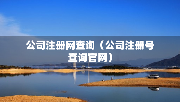 公司注冊網(wǎng)查詢（公司注冊號查詢官網(wǎng)）