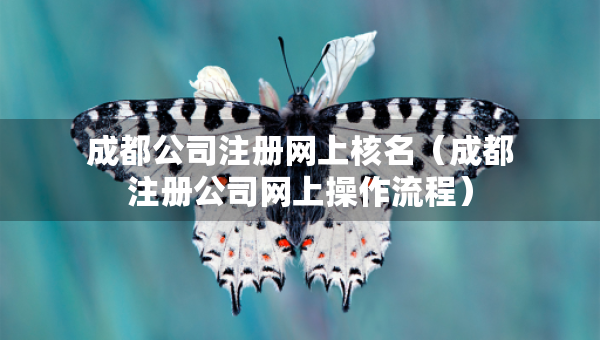 成都公司注冊(cè)網(wǎng)上核名（成都注冊(cè)公司網(wǎng)上操作流程）