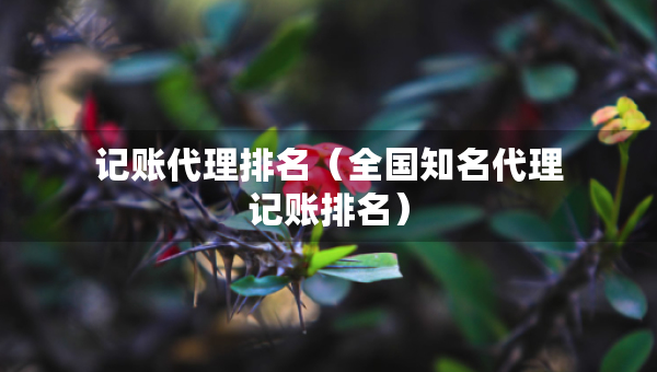 記賬代理排名（全國知名代理記賬排名）