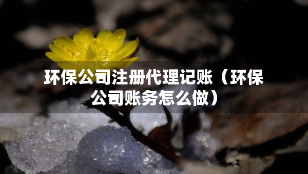 環(huán)保公司注冊代理記賬（環(huán)保公司賬務(wù)怎么做）