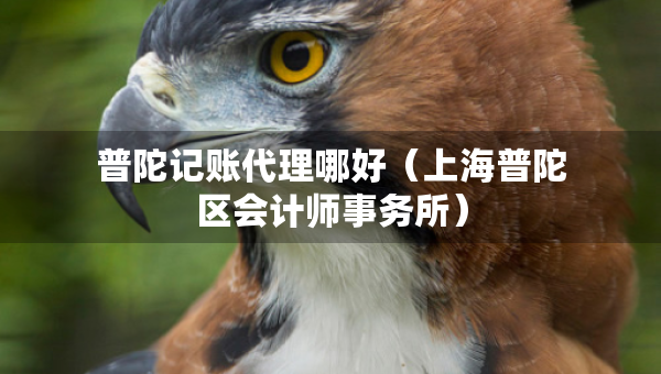 普陀記賬代理哪好（上海普陀區(qū)會計師事務(wù)所）