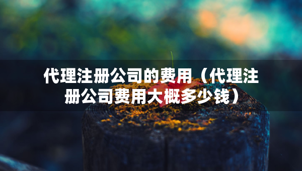 代理注冊公司的費用（代理注冊公司費用大概多少錢）