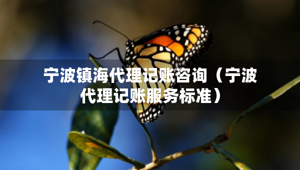 寧波鎮(zhèn)海代理記賬咨詢（寧波代理記賬服務(wù)標(biāo)準(zhǔn)）