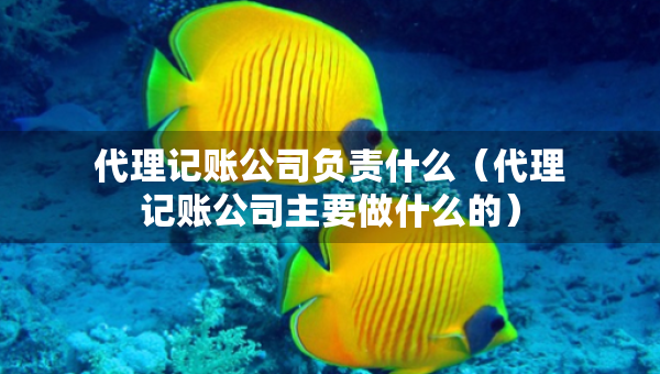 代理記賬公司負(fù)責(zé)什么（代理記賬公司主要做什么的）