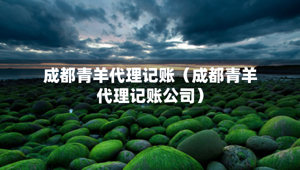 成都青羊代理記賬（成都青羊代理記賬公司）