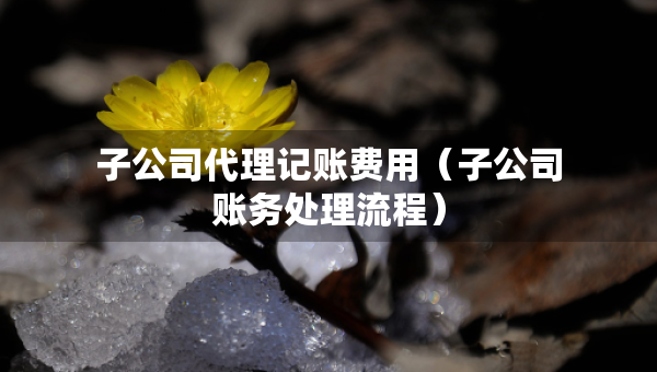子公司代理記賬費(fèi)用（子公司賬務(wù)處理流程）
