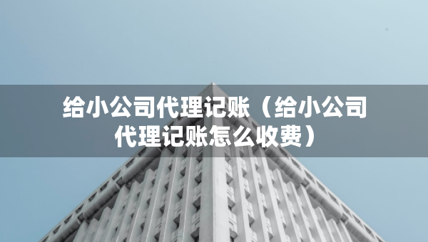 給小公司代理記賬（給小公司代理記賬怎么收費(fèi)）