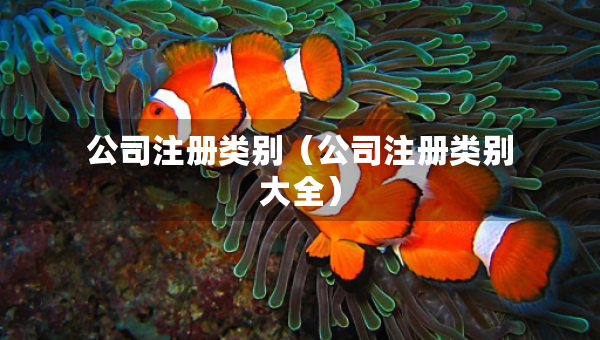 公司注冊(cè)類別（公司注冊(cè)類別大全）