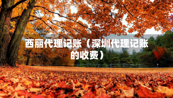 西麗代理記賬（深圳代理記賬的收費）