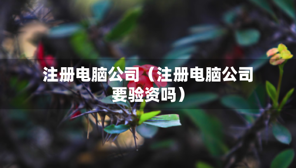 注冊電腦公司（注冊電腦公司要驗(yàn)資嗎）