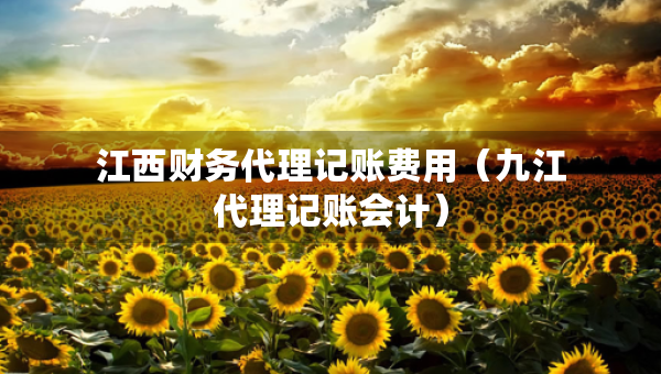 江西財(cái)務(wù)代理記賬費(fèi)用（九江代理記賬會(huì)計(jì)）