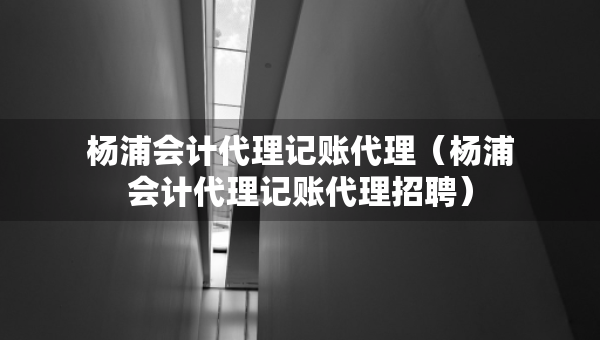 楊浦會計代理記賬代理（楊浦會計代理記賬代理招聘）