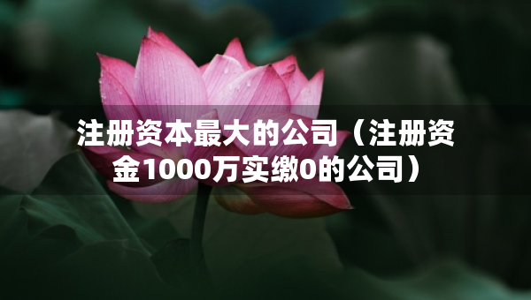 注冊資本最大的公司（注冊資金1000萬實繳0的公司）