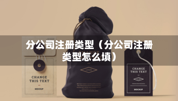 分公司注冊(cè)類(lèi)型（分公司注冊(cè)類(lèi)型怎么填）