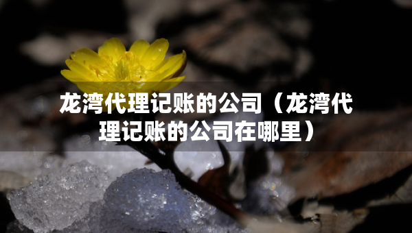 龍灣代理記賬的公司（龍灣代理記賬的公司在哪里）