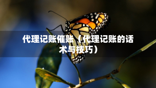 代理記賬催賬（代理記賬的話術(shù)與技巧）
