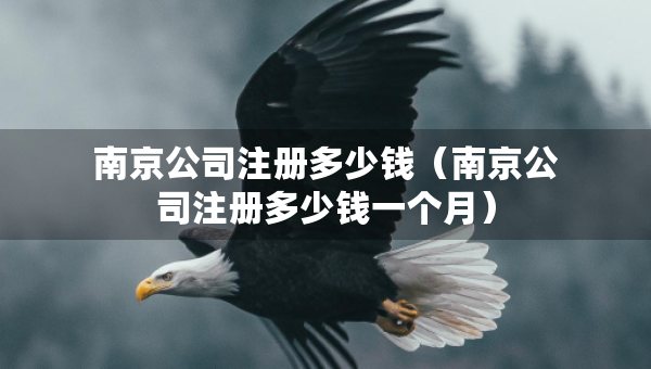 南京公司注冊多少錢（南京公司注冊多少錢一個月）