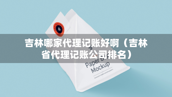 吉林哪家代理記賬好?。质〈碛涃~公司排名）