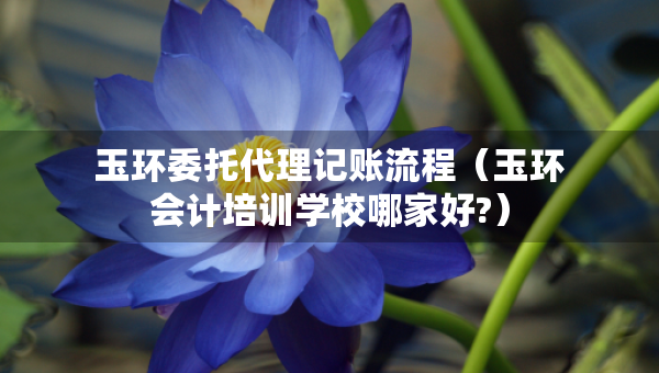 玉環(huán)委托代理記賬流程（玉環(huán)會(huì)計(jì)培訓(xùn)學(xué)校哪家好?）