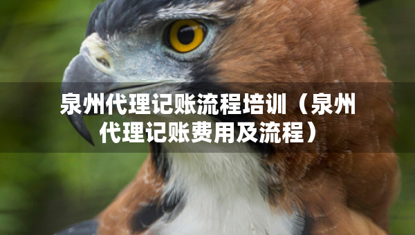 泉州代理記賬流程培訓(xùn)（泉州代理記賬費(fèi)用及流程）
