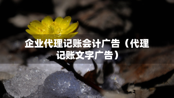 企業(yè)代理記賬會(huì)計(jì)廣告（代理記賬文字廣告）
