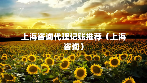上海咨詢(xún)代理記賬推薦（上海咨詢(xún)）