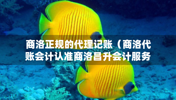 商洛正規(guī)的代理記賬（商洛代賬會(huì)計(jì)認(rèn)準(zhǔn)商洛昌升會(huì)計(jì)服務(wù)）
