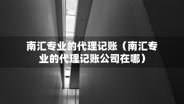南匯專業(yè)的代理記賬（南匯專業(yè)的代理記賬公司在哪）