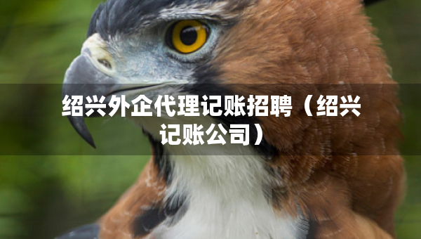 紹興外企代理記賬招聘（紹興記賬公司）