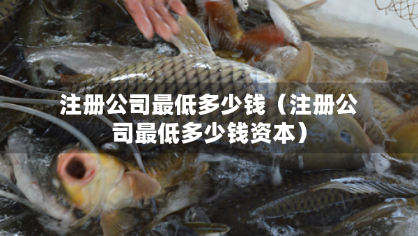 注冊(cè)公司最低多少錢(qián)（注冊(cè)公司最低多少錢(qián)資本）