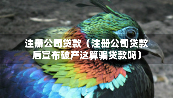 注冊(cè)公司貸款（注冊(cè)公司貸款后宣布破產(chǎn)這算騙貸款嗎）