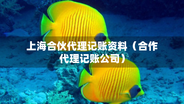 上海合伙代理記賬資料（合作代理記賬公司）