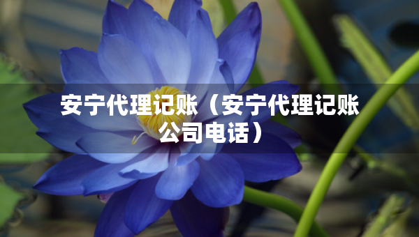 安寧代理記賬（安寧代理記賬公司電話）