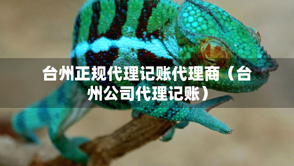 臺(tái)州正規(guī)代理記賬代理商（臺(tái)州公司代理記賬）