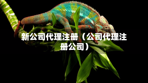 新公司代理注冊（公司代理注冊公司）