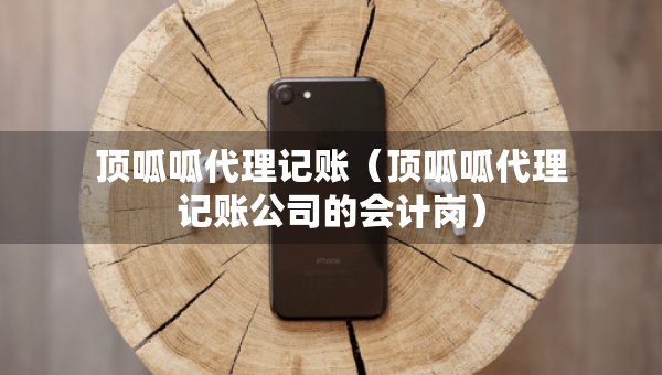 頂呱呱代理記賬（頂呱呱代理記賬公司的會(huì)計(jì)崗）
