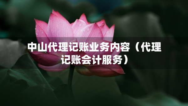 中山代理記賬業(yè)務(wù)內(nèi)容（代理記賬會(huì)計(jì)服務(wù)）