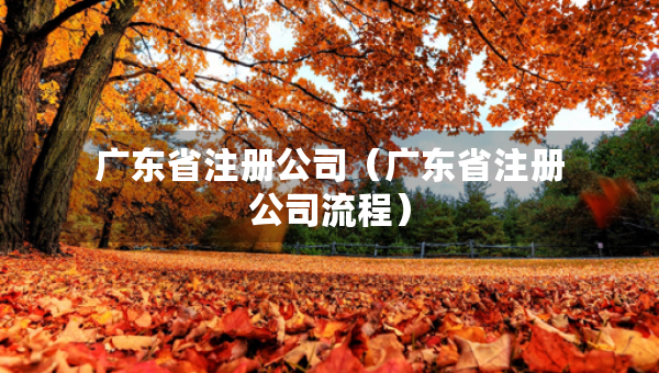 廣東省注冊公司（廣東省注冊公司流程）