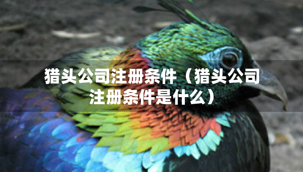 獵頭公司注冊條件（獵頭公司注冊條件是什么）