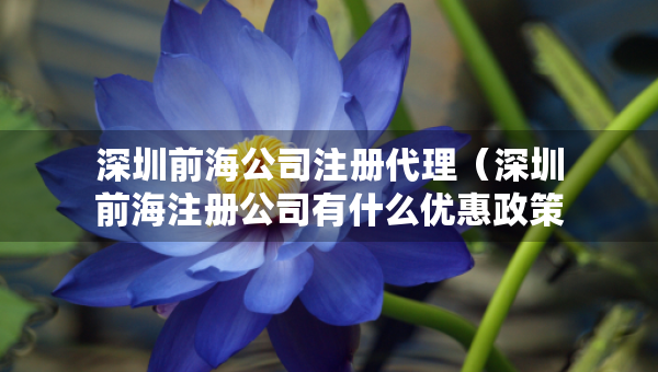 深圳前海公司注冊代理（深圳前海注冊公司有什么優(yōu)惠政策?）