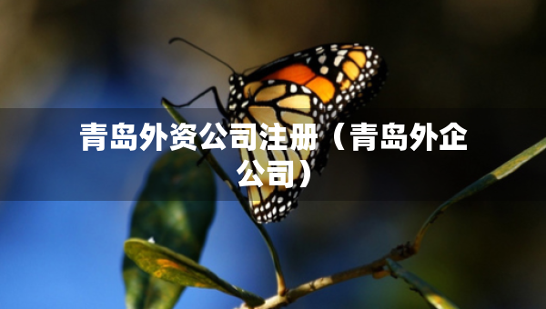 青島外資公司注冊（青島外企公司）