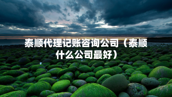 泰順代理記賬咨詢公司（泰順什么公司最好）