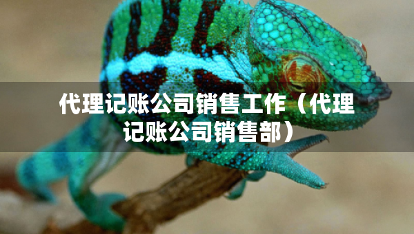 代理記賬公司銷售工作（代理記賬公司銷售部）