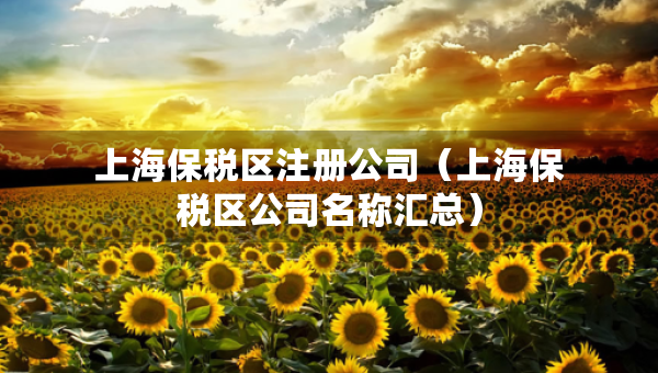 上海保稅區(qū)注冊公司（上海保稅區(qū)公司名稱匯總）