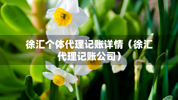 徐匯個體代理記賬詳情（徐匯代理記賬公司）